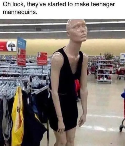 teenage mannequins meme