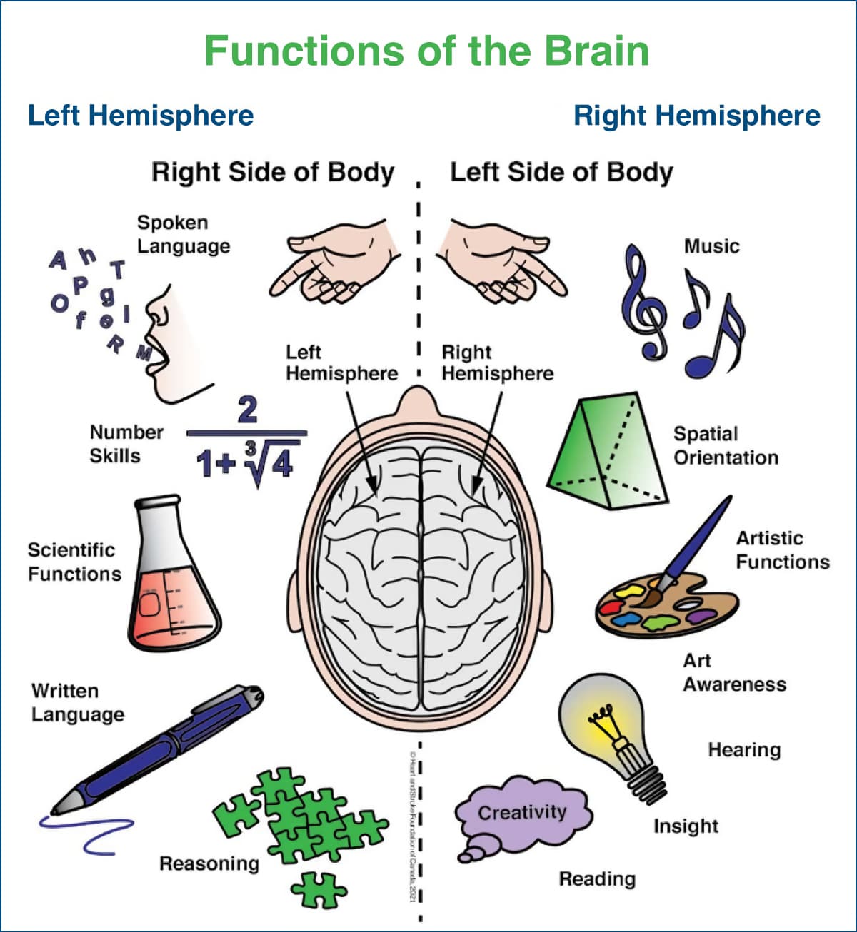 a graphic showing the functions of the two hemispheres of the brain