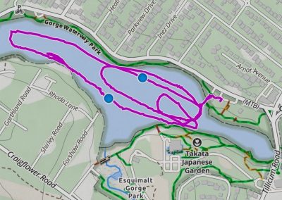 A map of the Gorge Waterway with a line circling back and forth, showing where the dragon boat went.